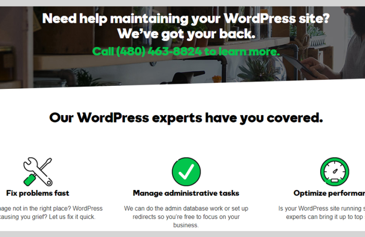 wordpress-premium-support.png