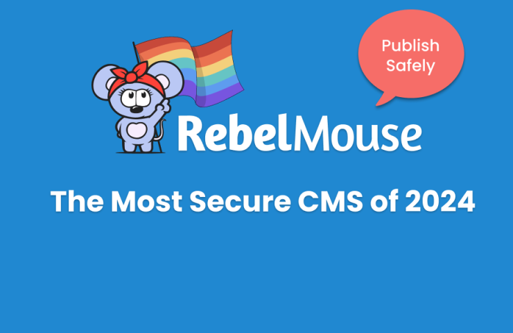 rebelmouse-logo-with-red-headband-holding-pride-flag-points-to-title-with-public-safety-icon-next-to-it.png